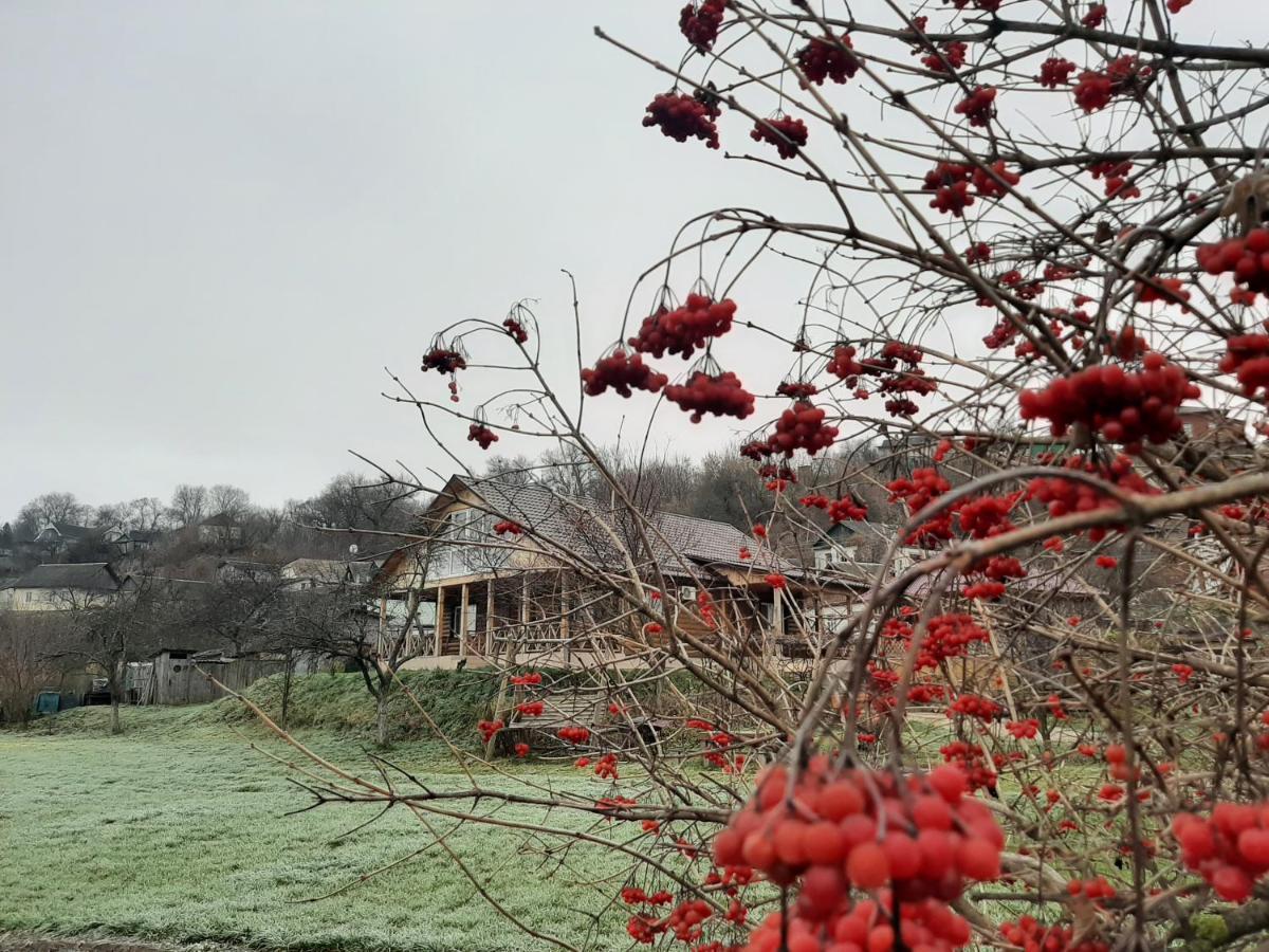 Hotel Гостьовий Дім На Герцена Guest Hous On Gertsena à Novhorod-Siverskyi Extérieur photo